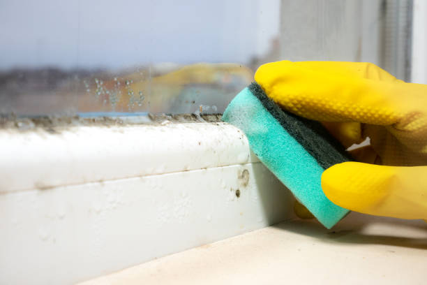 Best HVAC Mold Remediation in Tyndall, SD