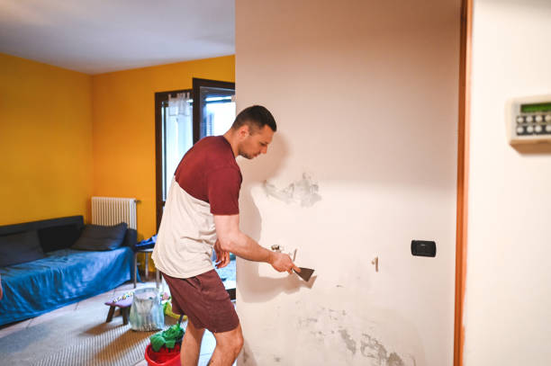 Best Mold Remediation for Specific Building Types in Tyndall, SD